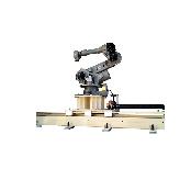 Robot Carriage System