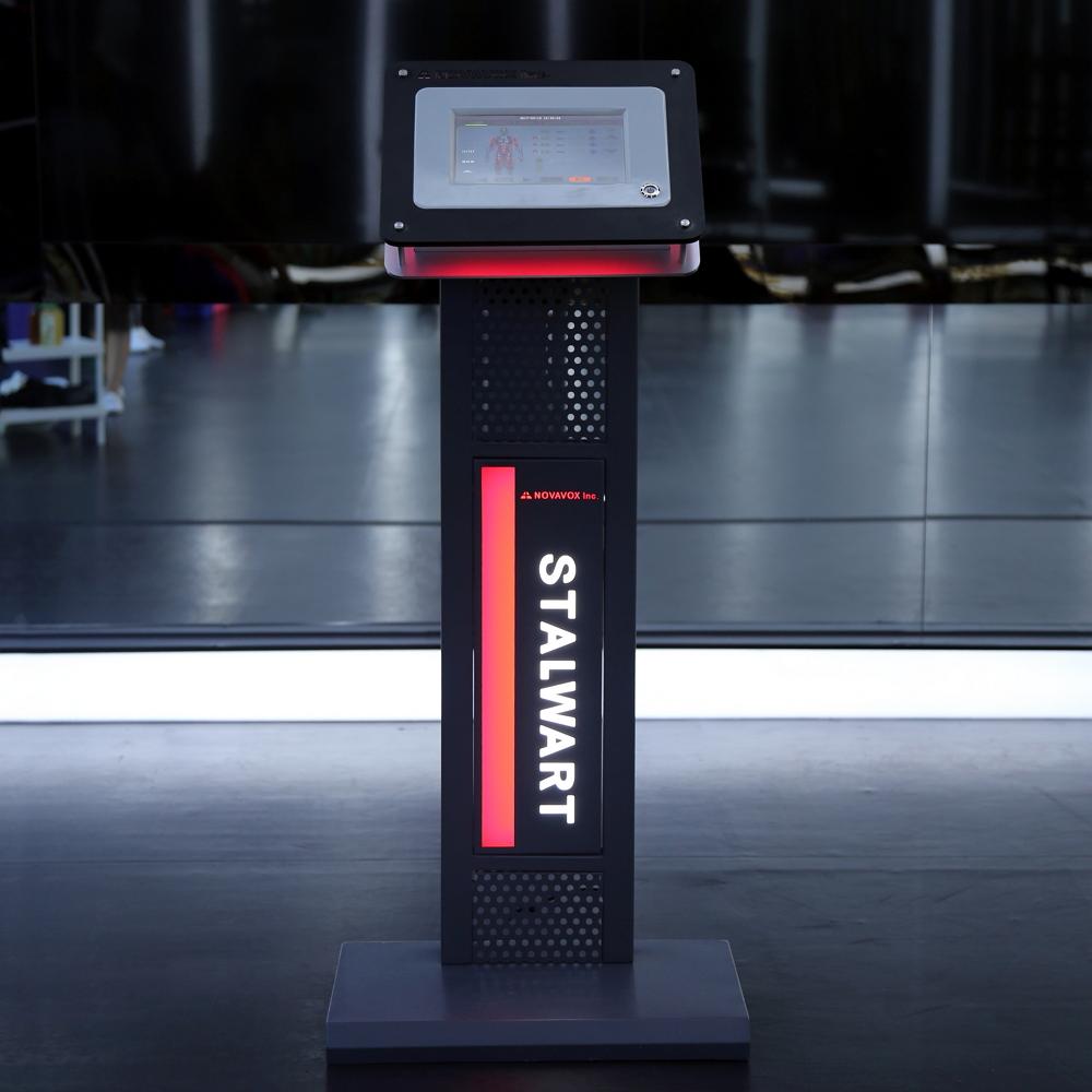 Electric Muscle Stimulation System