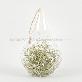 detail image5 Beautiful Air Plants Hanging Terrarium Set " Spanish Moss " Joinflower Joinfolia