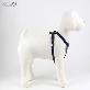 full image Premium leather harness T type (Blue)