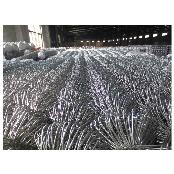 High quality wholesale strong for sale used decorative Chain Link Fence