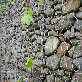 full image Hexagonal Gabions