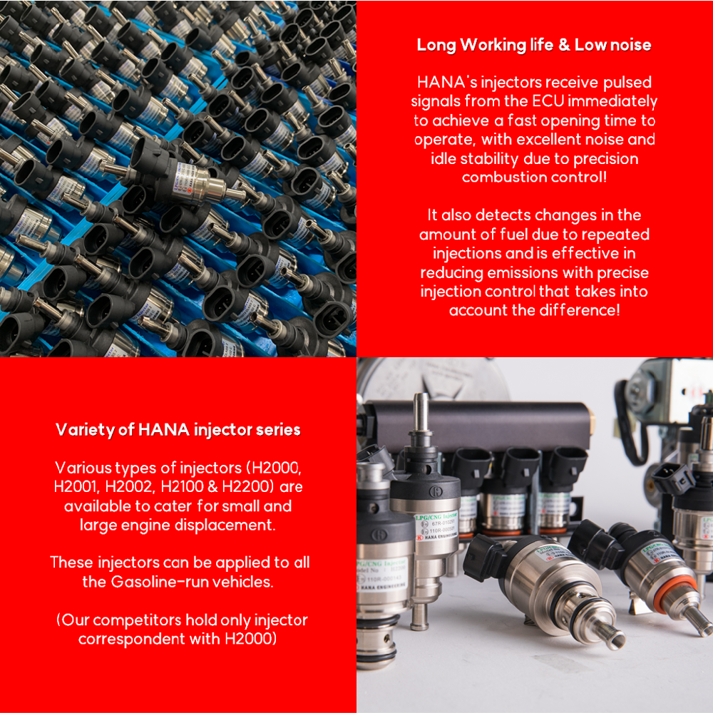 LPG CNG injector for passenger car (H2000)