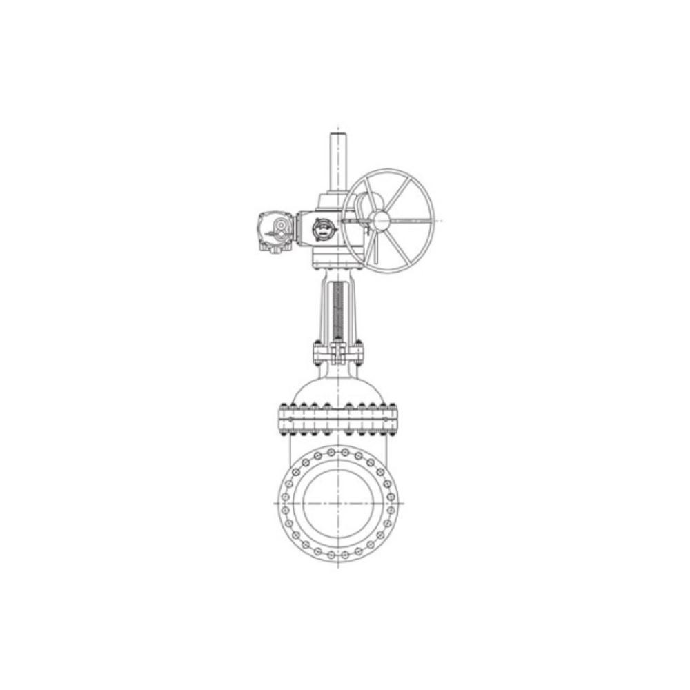 Gate Valve (Series DRF)