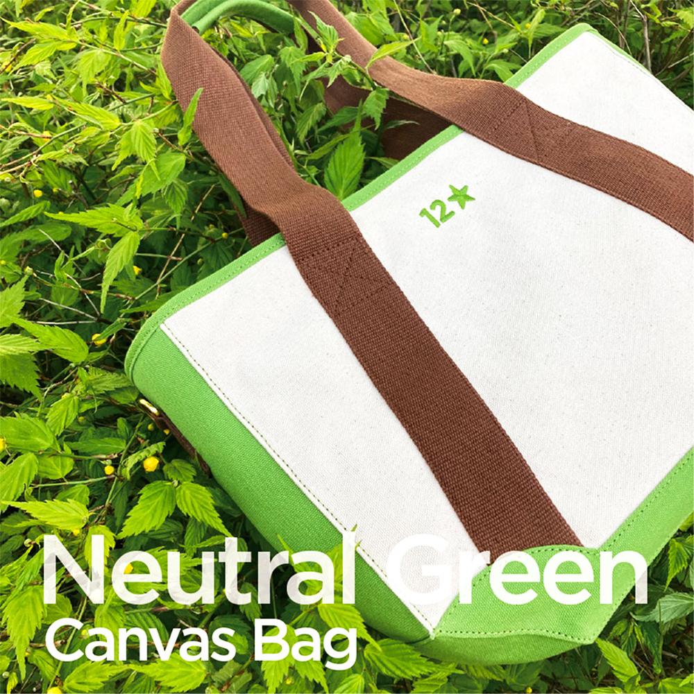 Neutral Green Canvas_Bag