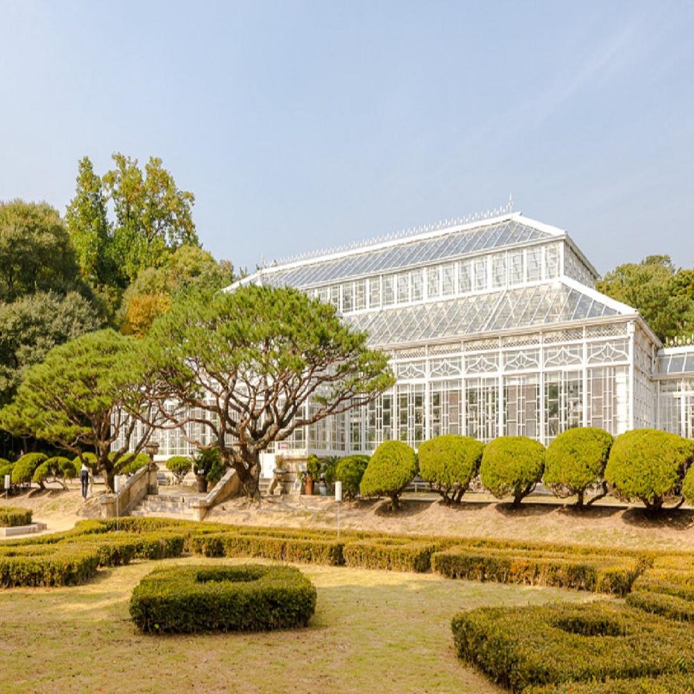 Discover Seoul Pass - 48H