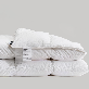 detail image1 zero o'clock goose down Comforter (signature model)