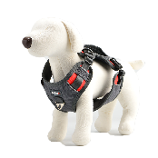 Safe Harness for pet