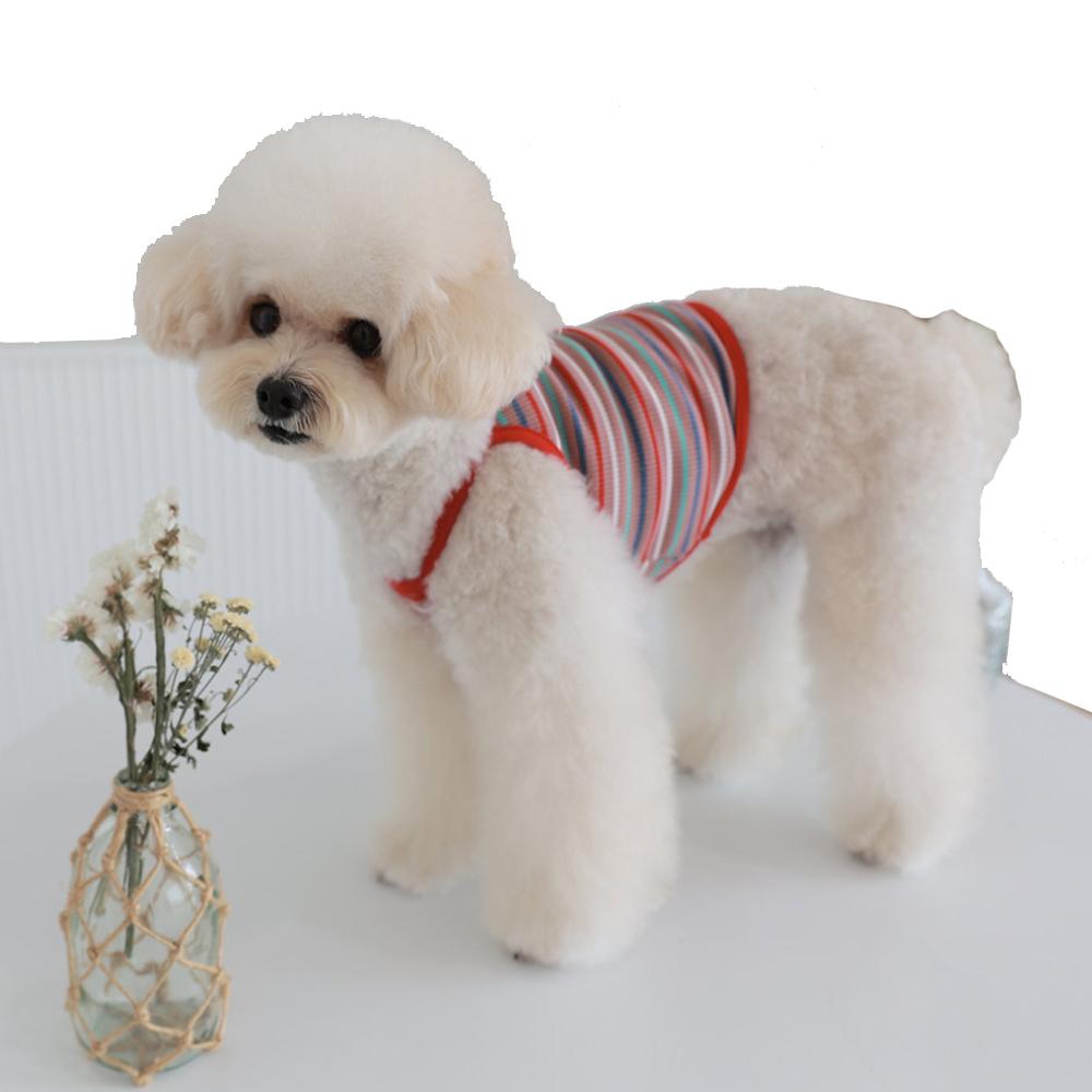 Rainbow Stripe Crop Sleeveless (Red/XL)