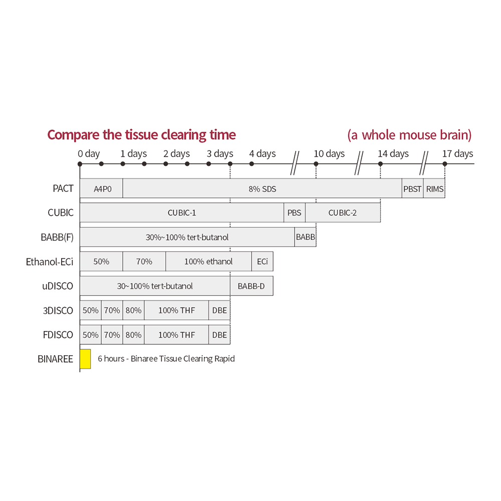 Binaree Tissue Clearing Rapid Solution