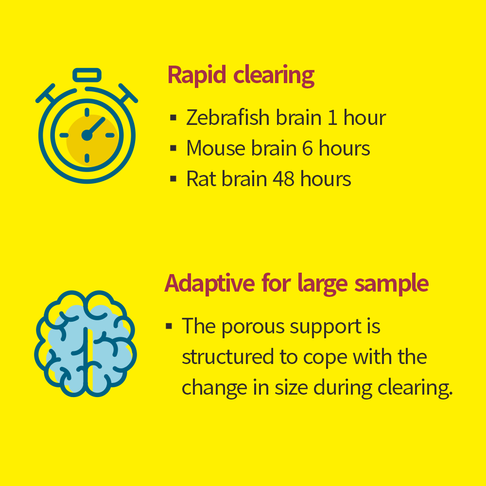 Binaree Tissue Clearing Rapid Solution