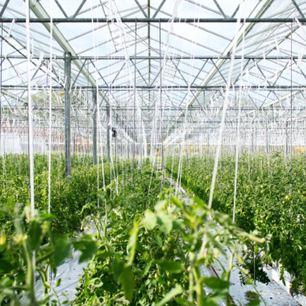 Water Hose Punching Machine