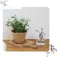 detail image1 Freefactory Flower Plant Pot with Drainage Holes and Saucer Tray(Small/Ivory)