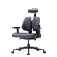 full image DX2 ergonomic office chair, task chair , home furniture