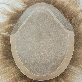 detail image4 Non-Surgical Hair Replacement for man. Hairpieces to Medical Cranial Prosthesis,  toupee & wig